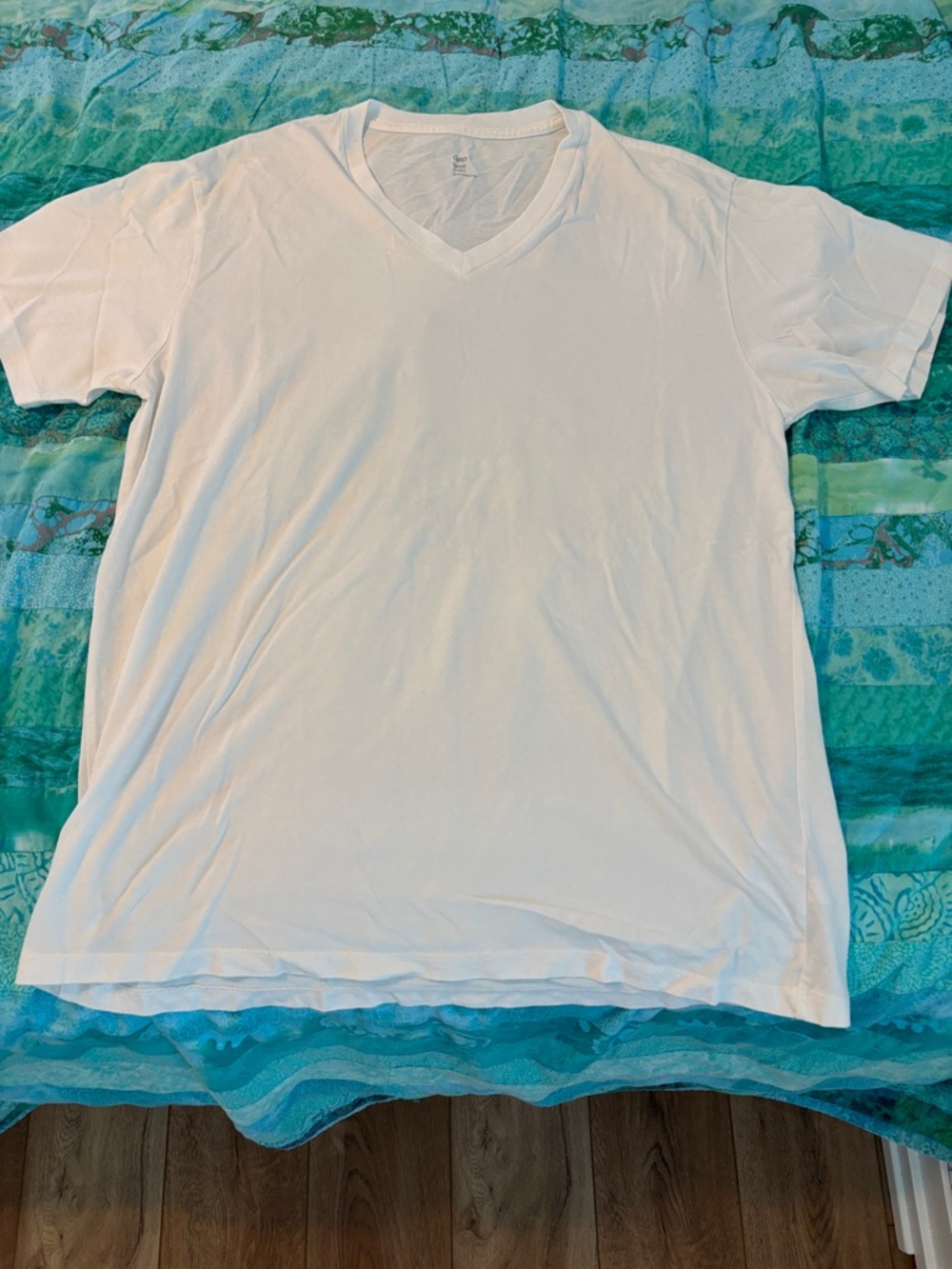 Men’s Gap White V-Neck T-Shirt
Large, never worn.